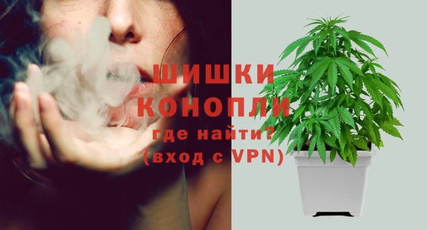 ECSTASY Нязепетровск