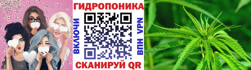магазин  наркотиков  Кондопога  Бошки Шишки LSD WEED 